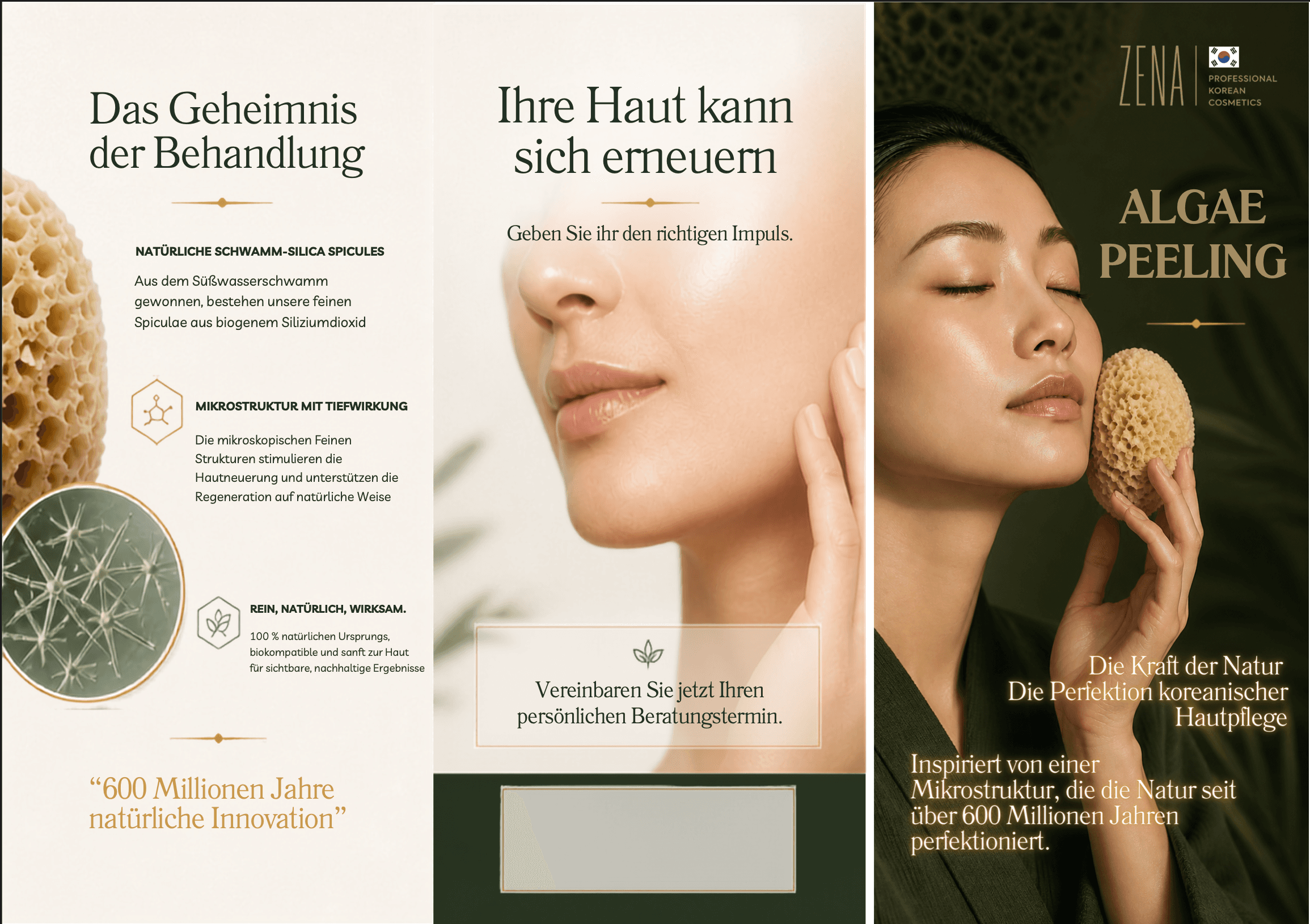 Broschüre Algen Peeling