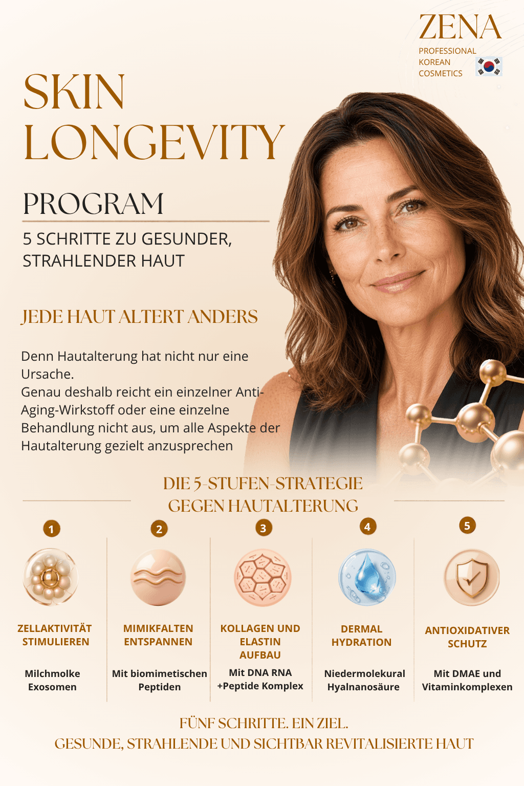Broschüre Longevity